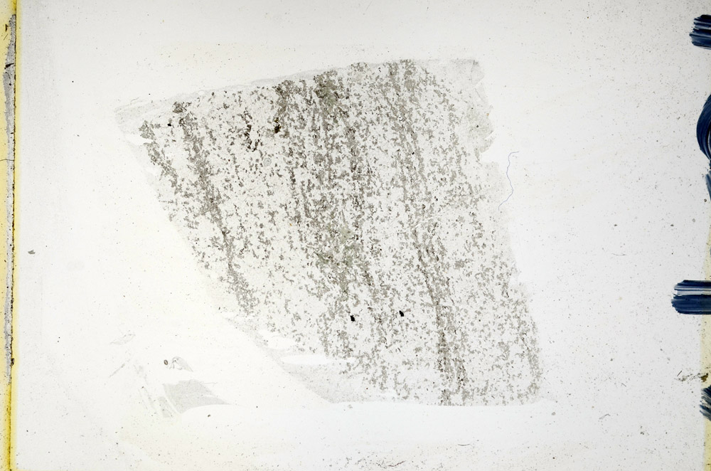 Plane Polarized, N9760