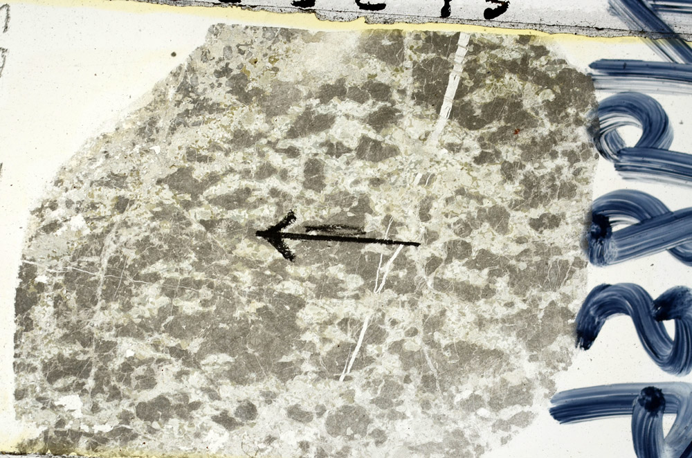 Plane Polarized, N9856