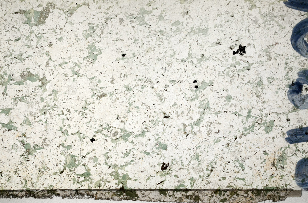 Plane Polarized, N9863