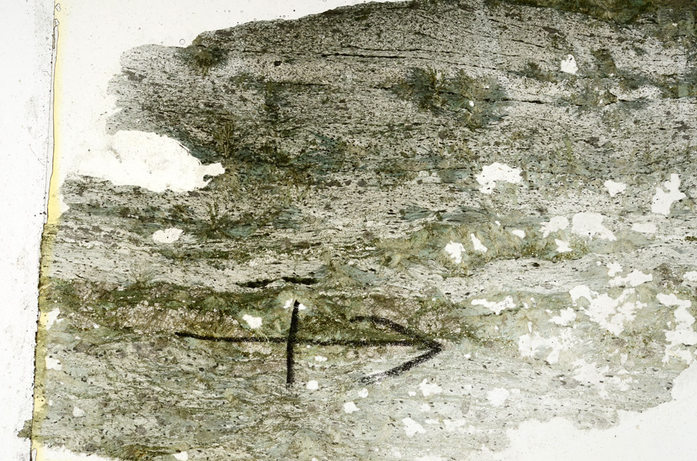 Plane Polarized, N9883