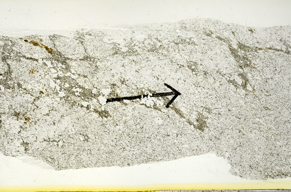 Plane Polarized, N9888/A