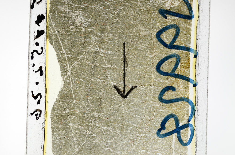 Plane Polarized, N9928