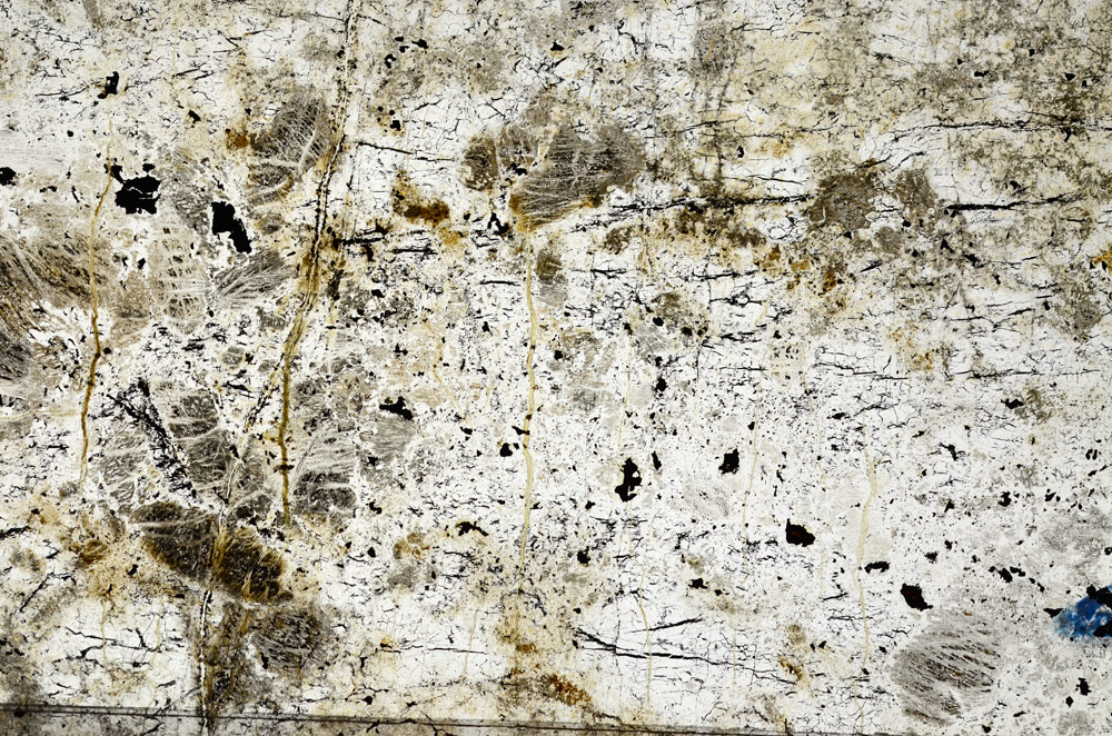 Plane Polarized, N9936