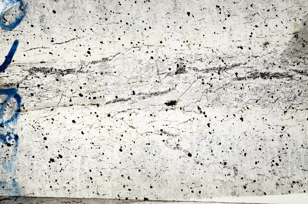 Plane Polarized, N9959