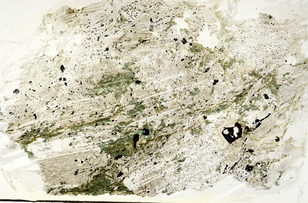 Plane Polarized, N9974