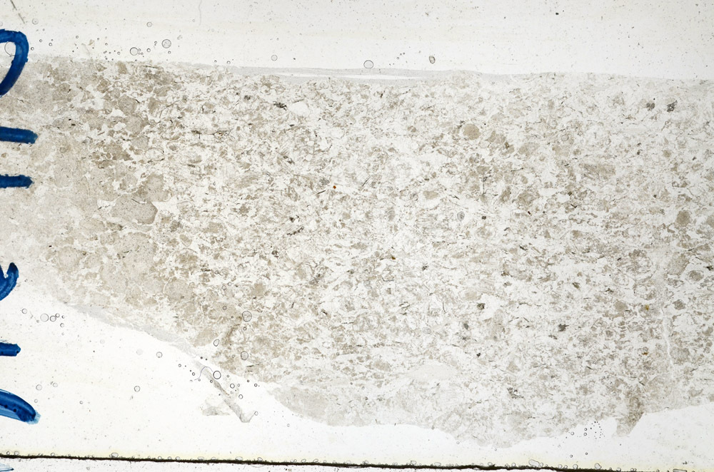 Plane Polarized, N10113