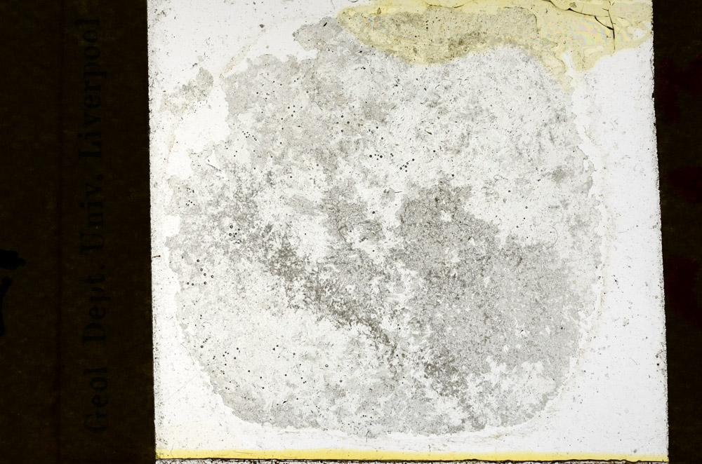 Plane Polarized, N10135