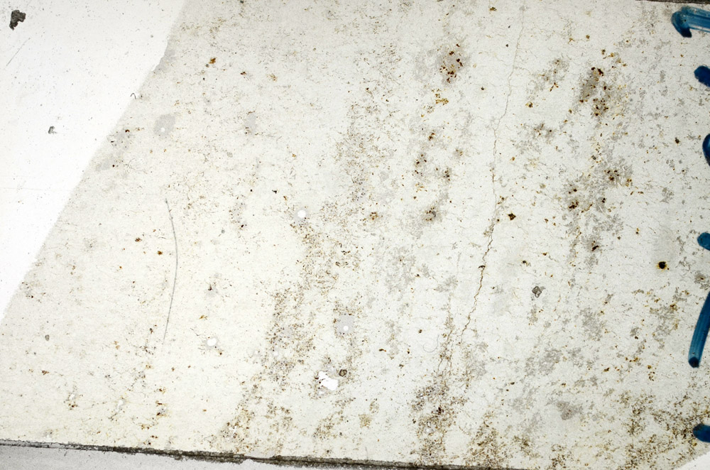 Plane Polarized, N10151
