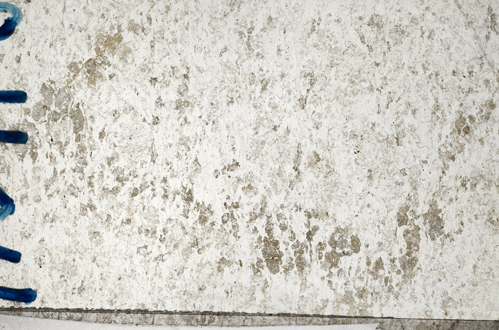 Plane Polarized, N10168