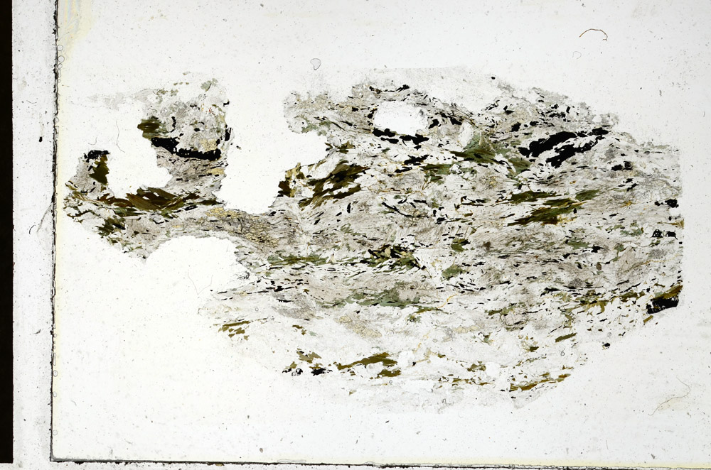 Plane Polarized, N10180