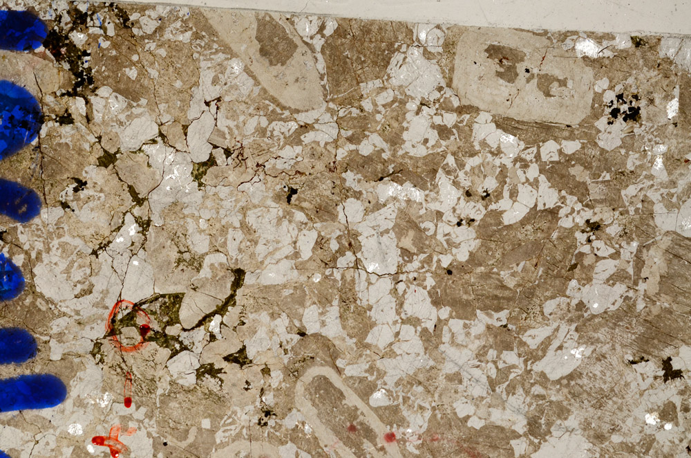 Plane Polarized, N10191