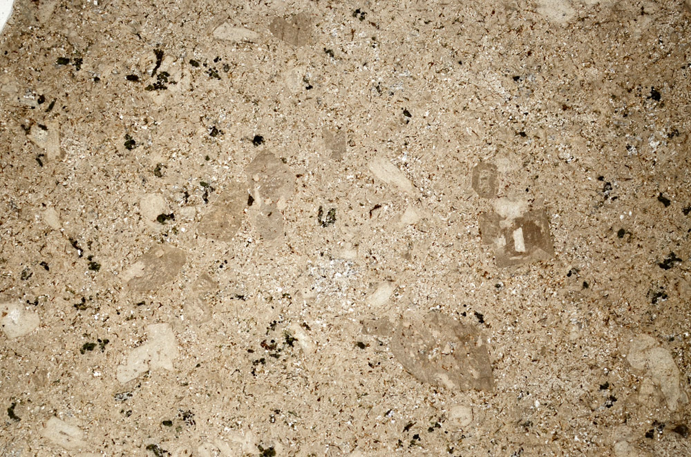 Plane Polarized, N10198