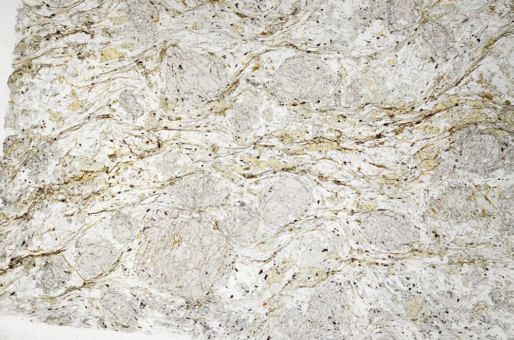 Plane Polarized, N10203