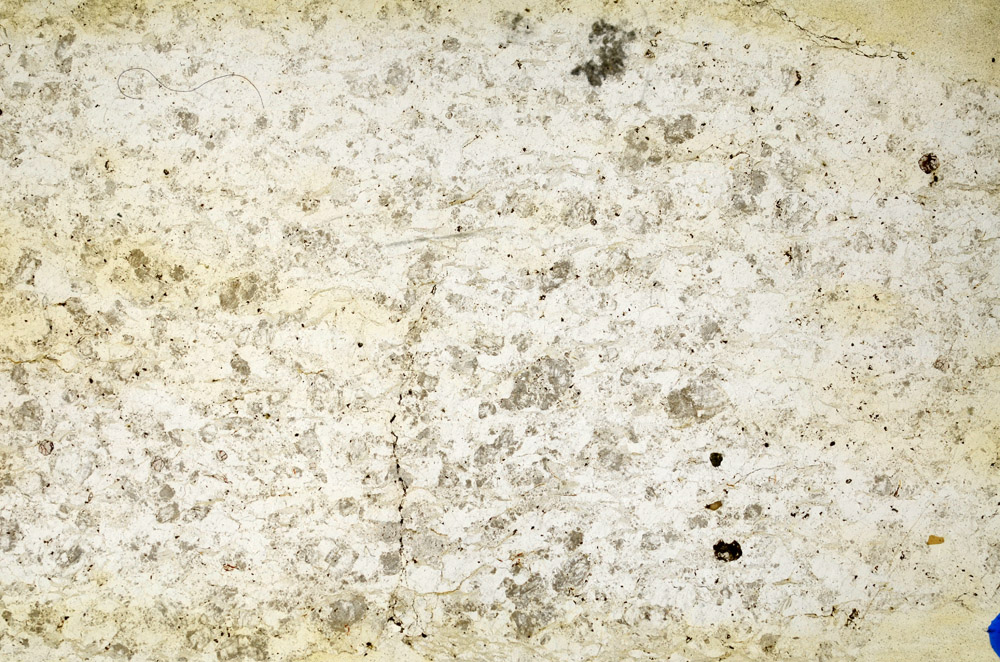 Plane Polarized, N10240