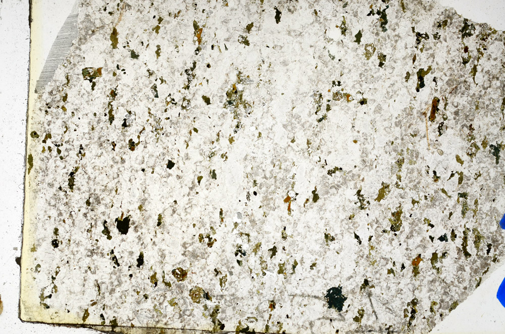 Plane Polarized, N10269