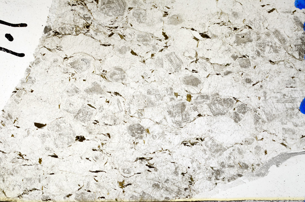 Plane Polarized, N10277