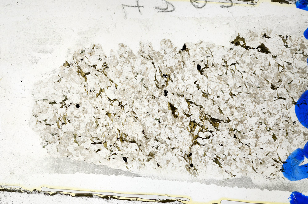 Plane Polarized, N10281