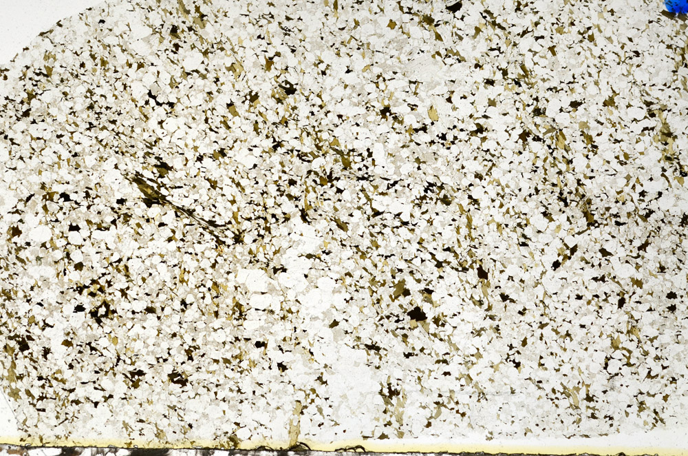 Plane Polarized, N10290