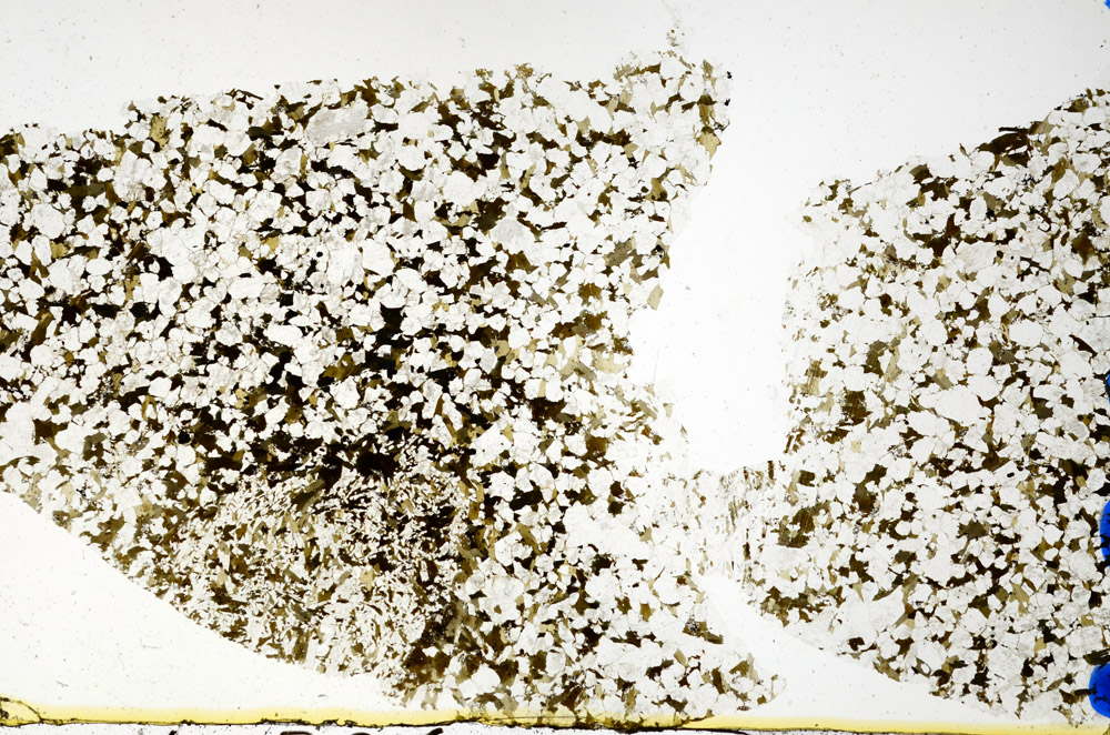 Plane Polarized, N10291