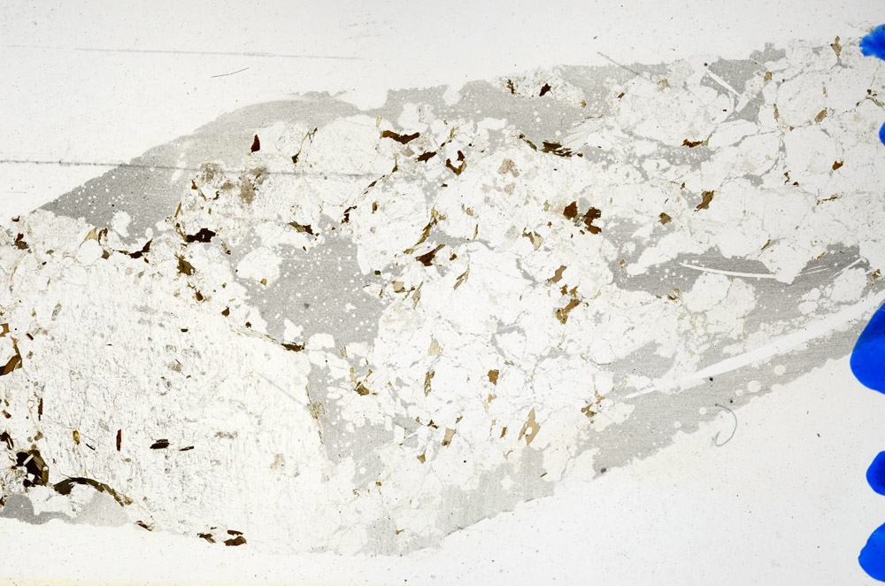 Plane Polarized, N10312