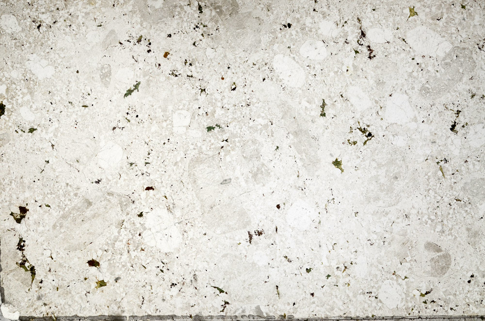 Plane Polarized, N10346