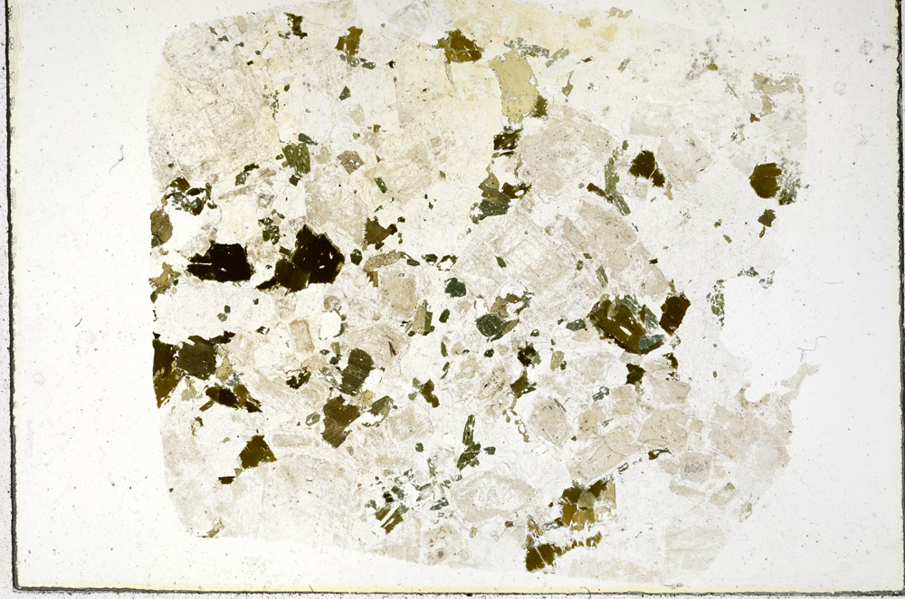 Plane Polarized, N10408