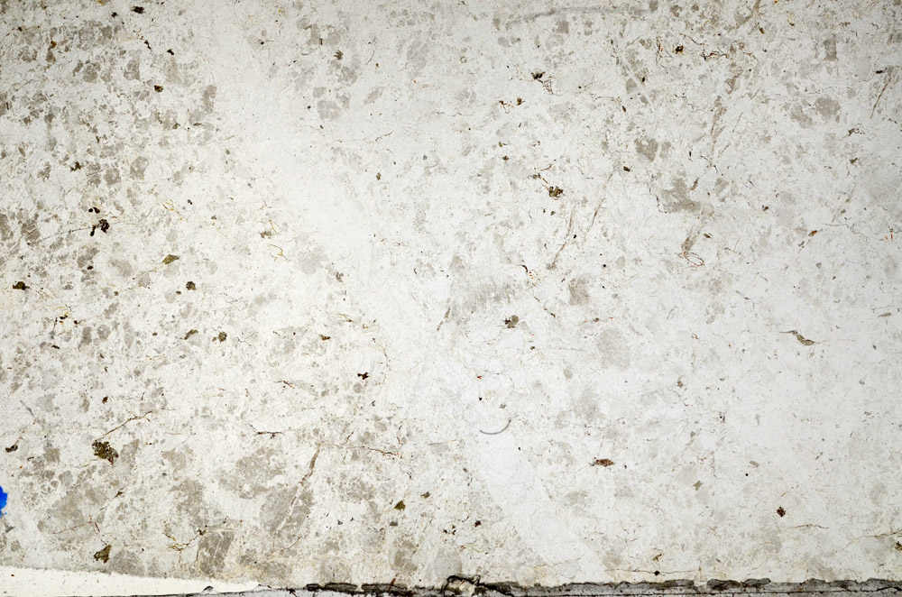 Plane Polarized, N10421