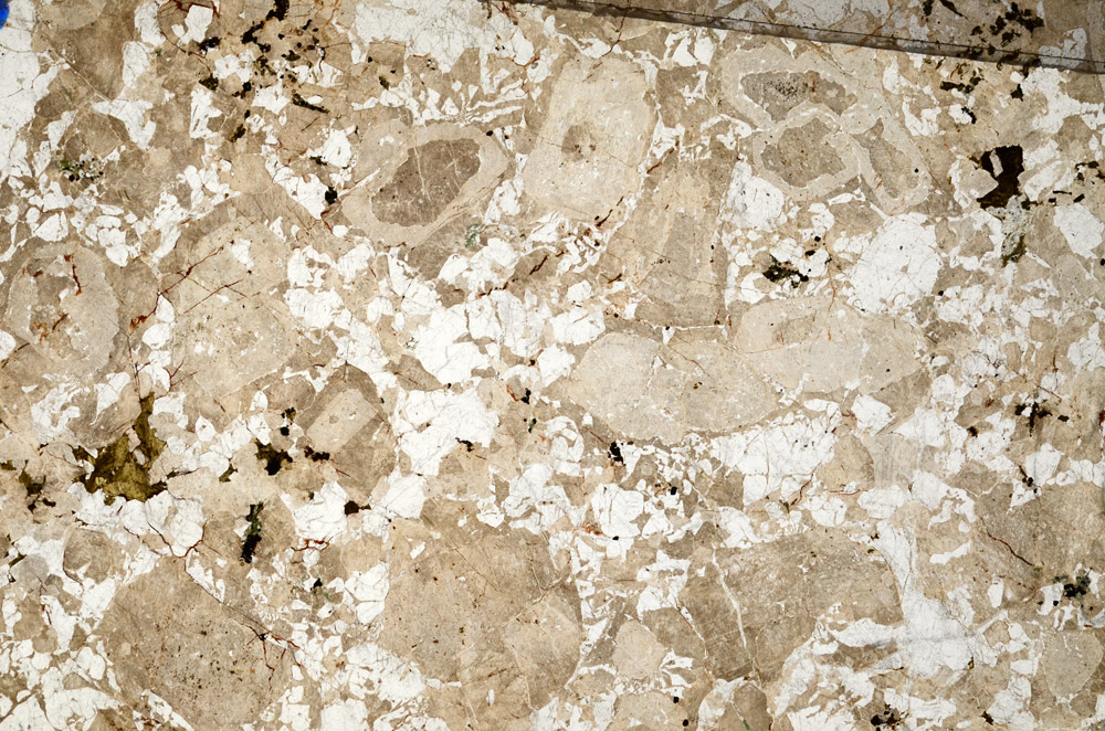 Plane Polarized, N10461
