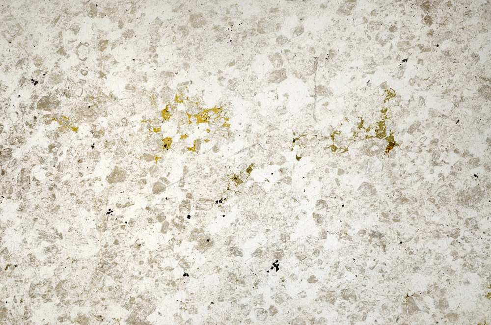 Plane Polarized, N10470