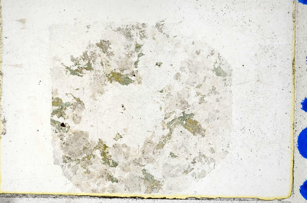 Plane Polarized, N10490