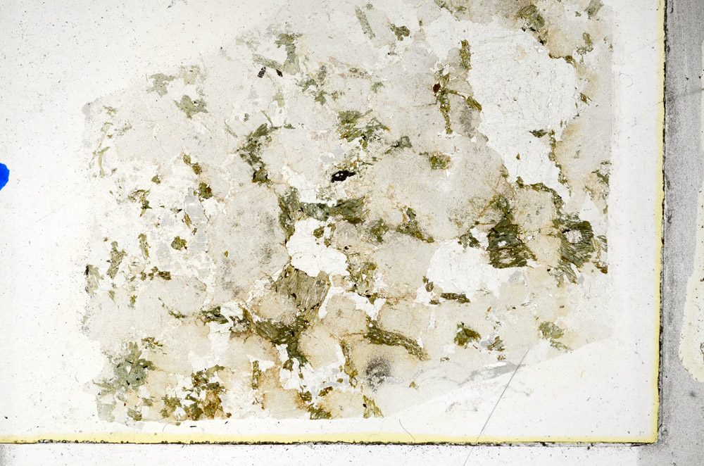 Plane Polarized, N10497