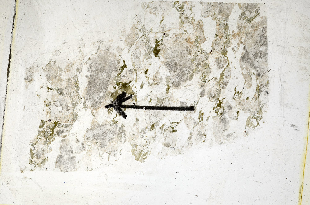 Plane Polarized, N10499