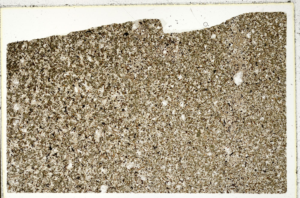 Plane Polarized, N10657