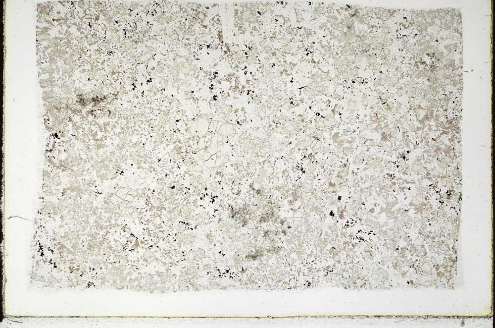 Plane Polarized, N10684