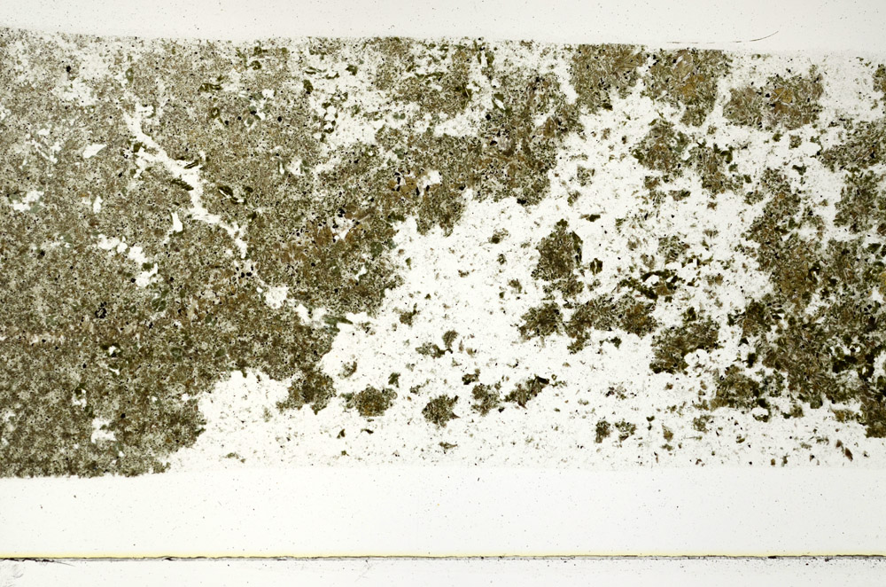 Plane Polarized, N10749