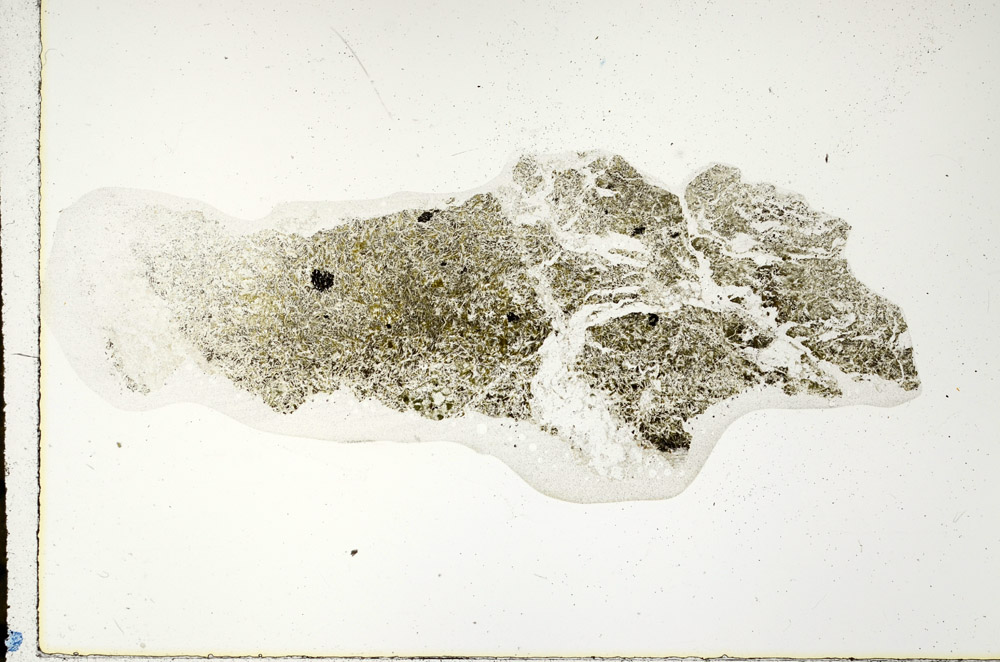 Plane Polarized, N10751