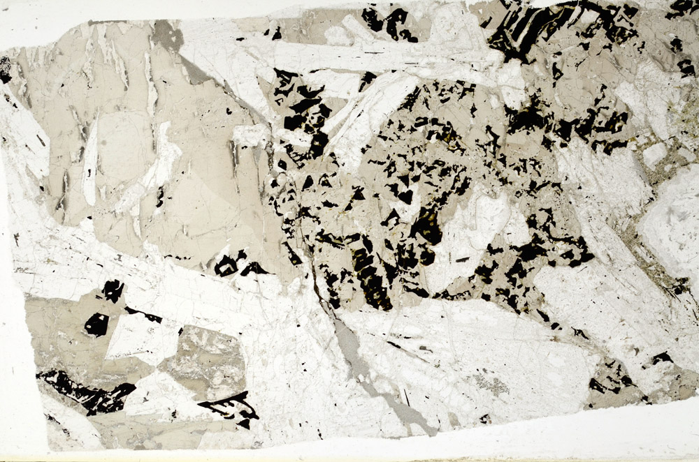 Plane Polarized, N11086