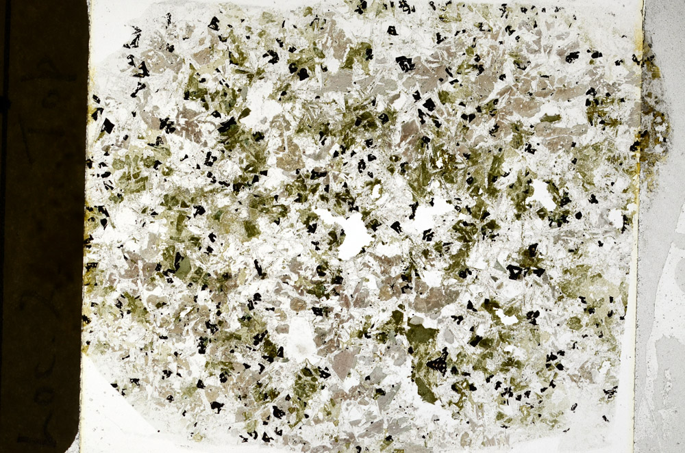 Plane Polarized, N11137