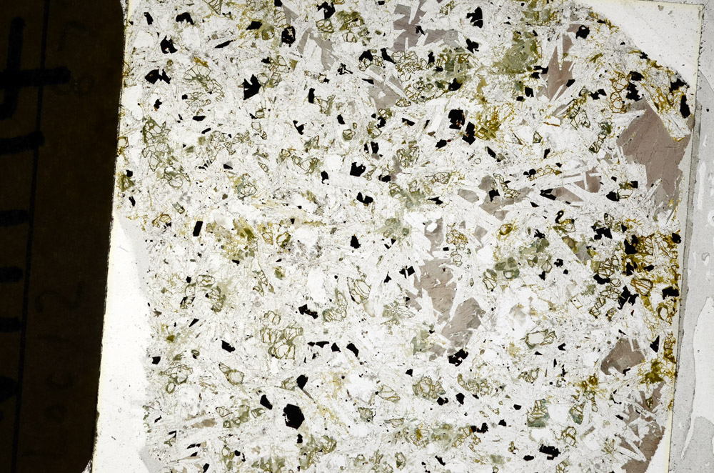 Plane Polarized, N11194