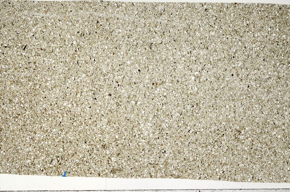 Plane Polarized, N11303