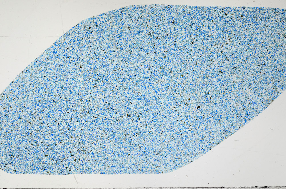 Plane Polarized, N11304