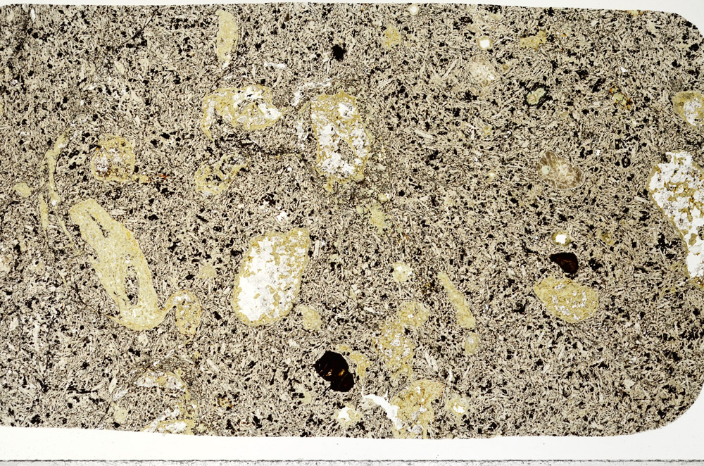 Plane Polarized, N11309