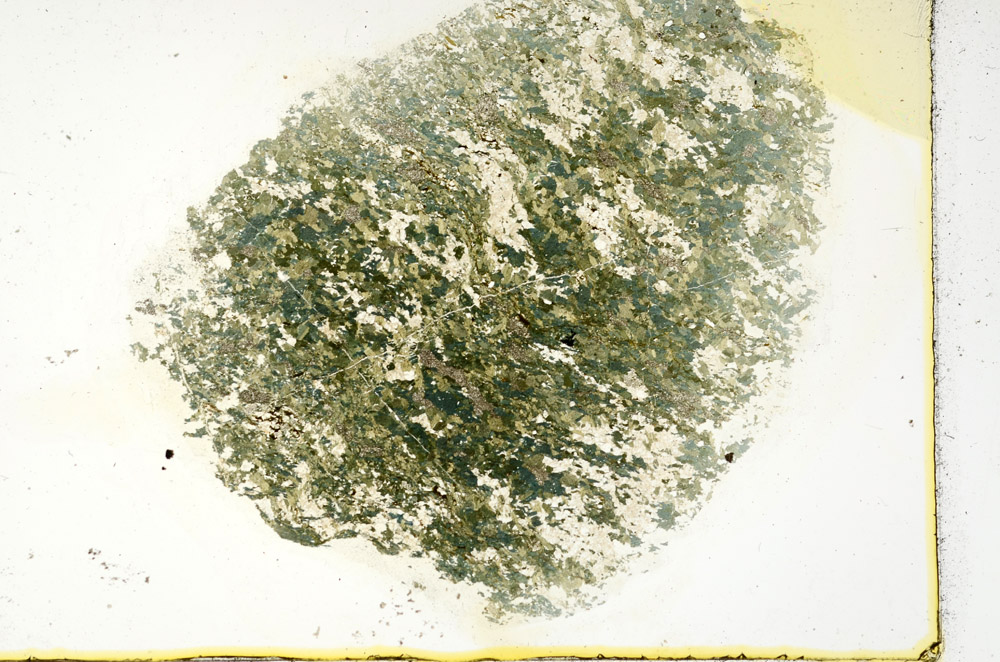 Plane Polarized, N11323