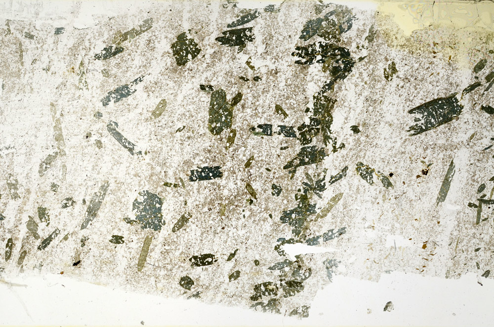 Plane Polarized, N11331/B