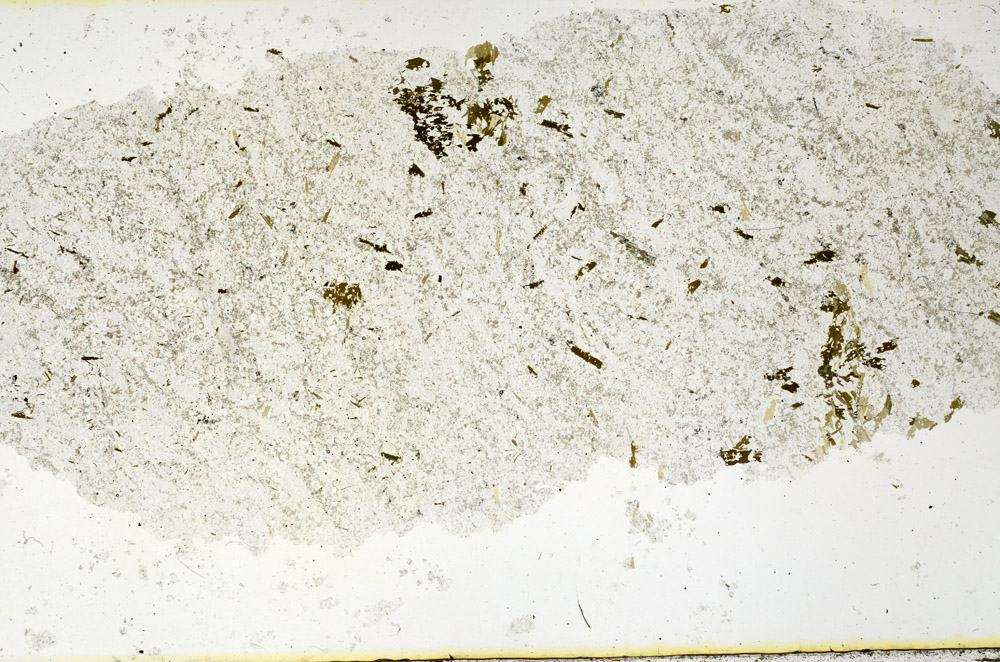 Plane Polarized, N11332