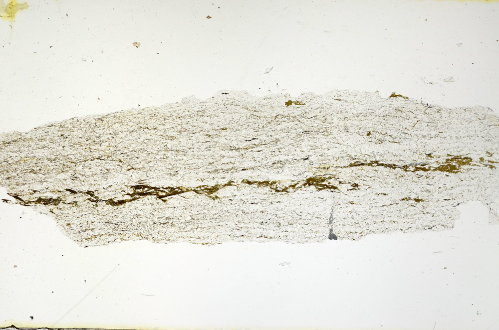 Plane Polarized, N11333