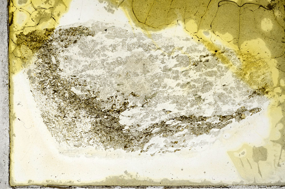 Plane Polarized, N11341