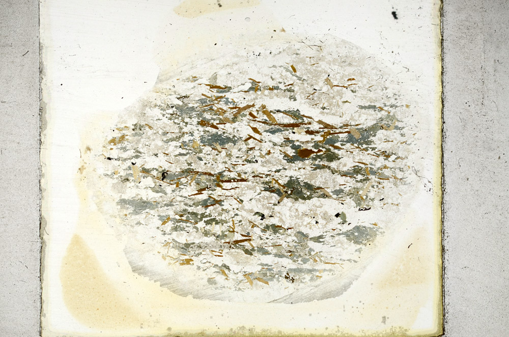 Plane Polarized, N11347