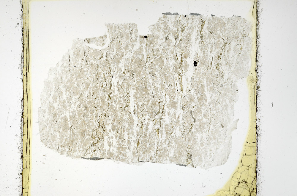 Plane Polarized, N11353