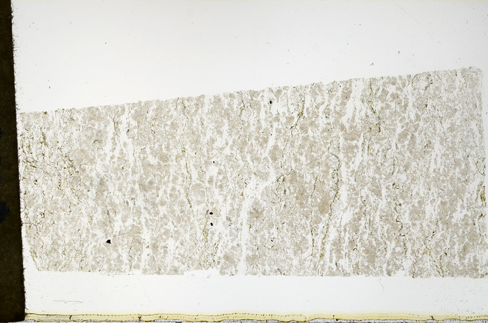 Plane Polarized, N11353/D